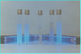 MCC Broth Coliformes: Caldo azul turquesa. E.coli: Fluorescente bajo luz UVA de 366 nm e indol (anillo rojo) positivo