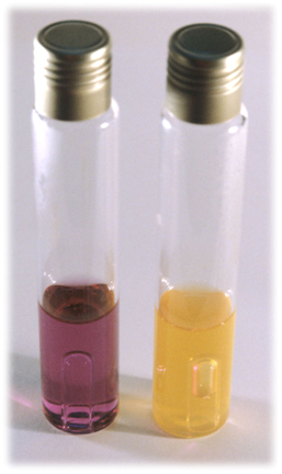 Izda: Sin inocular. Dchar: Coliformes, con viraje y gas en la campana Durham